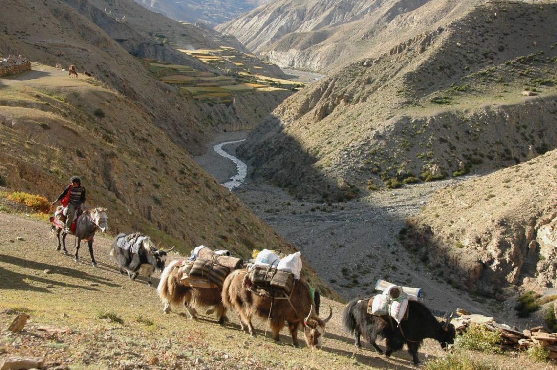 Trekking in Nepal nel Dolpo